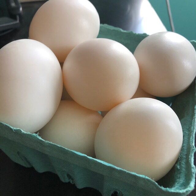 Duck Eggs For Sale